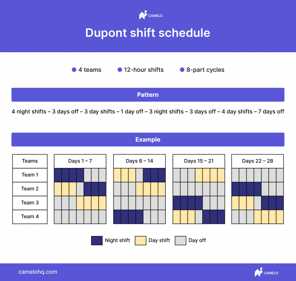 Dupont schedule example infographic